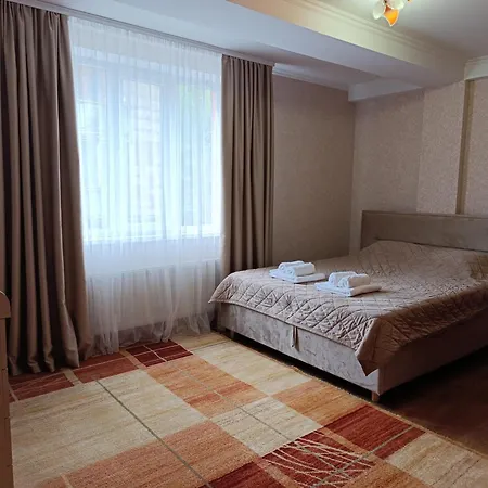 Cozy One-bedroom In A New Building Telecentru Apartment